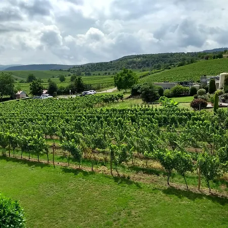アパート Ferien Im Winzerhaus カルシュタット