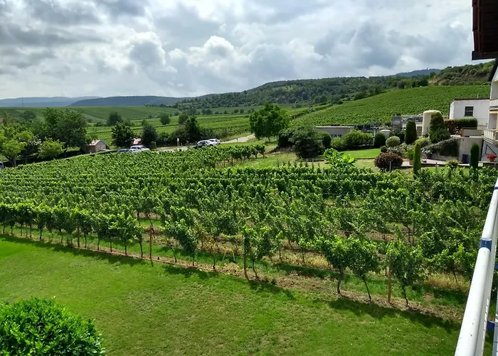 아파트 Ferien Im Winzerhaus 칼슈타트